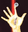 Avatar de l’utilisateur
