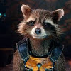 Avatar de l’utilisateur