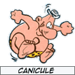 Avatar de l’utilisateur