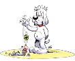 Avatar de l’utilisateur