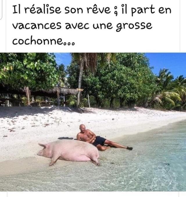 5D4CF3B9-5E54-47E3-9F49-80FB300989BB.jpeg