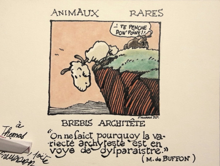 f-murr-brebis-architete-dessin-original-3ovp.jpg