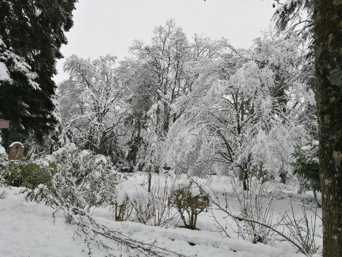 neige1.jpg