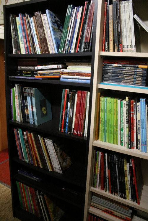 Bibliothèque (18).JPG