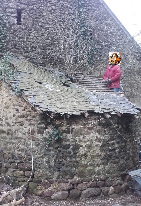 Puce au boulot.jpg