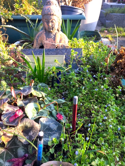 tombe moebius 3.JPG