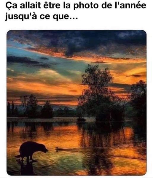 coucher.jpg