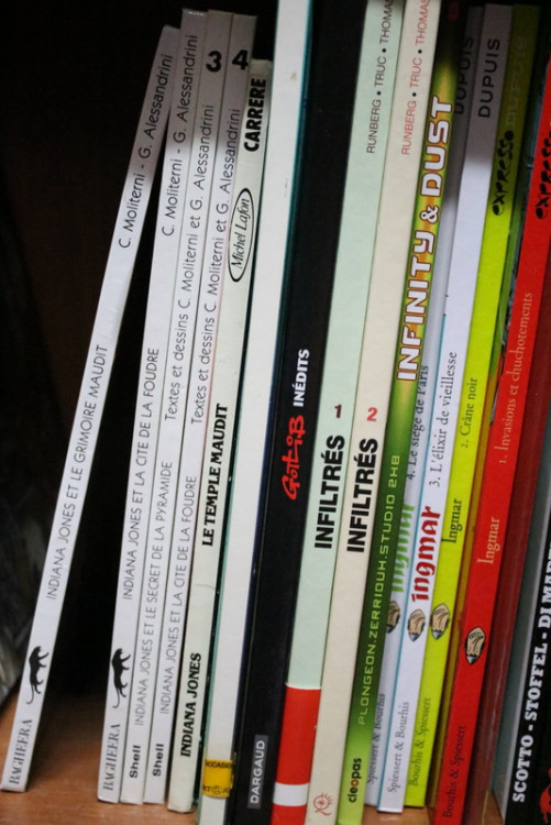 IMG_1085.JPG (277.33 Kio) Vu 113 fois IMG_1085.JPG