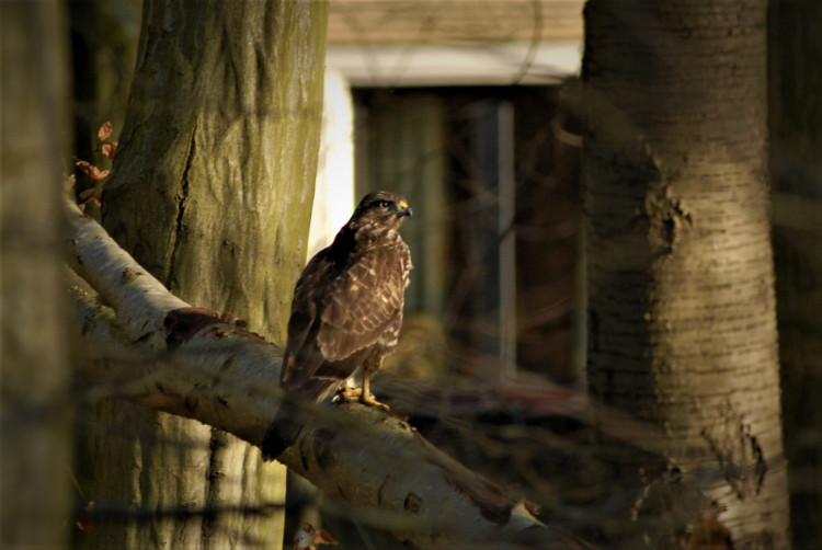 DSC_0395.JPG