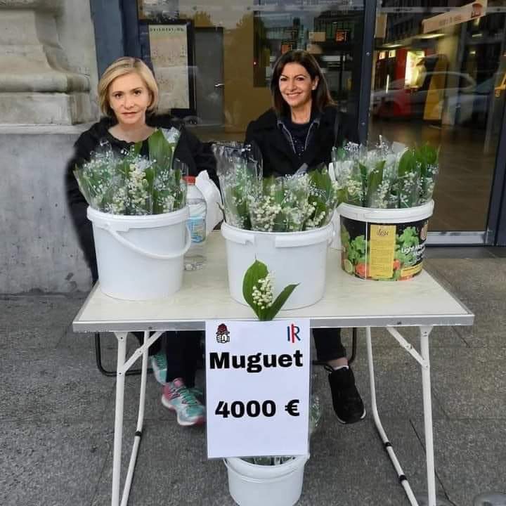 received_416420796520695.jpeg