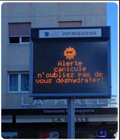 canicule.JPG