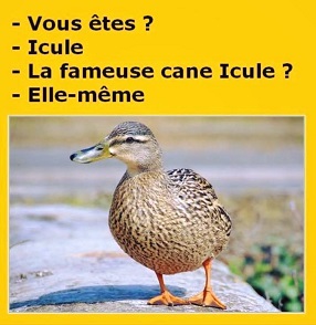 Cane Icule.jpg