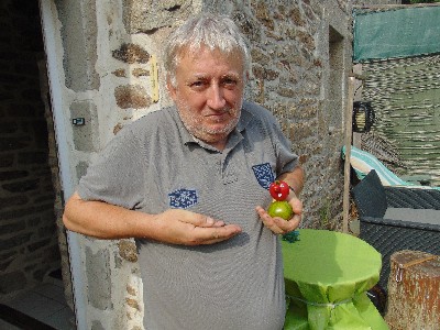 tomate bdgest 2.jpg