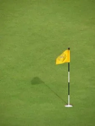 mini-drapeau.jpg
