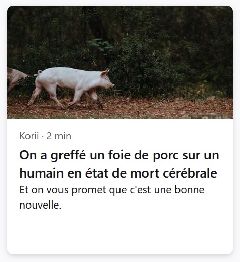 Sans titre.jpg