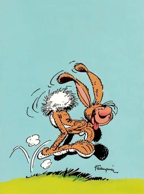 lapin.jpg