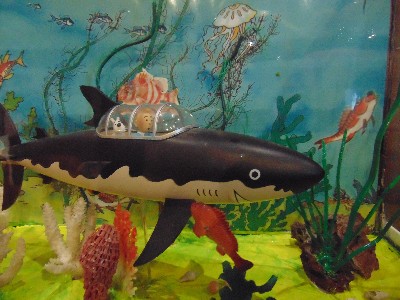 requin02bdg.jpg
