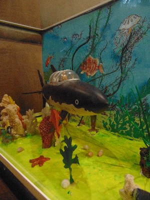 requin05bdg.jpg