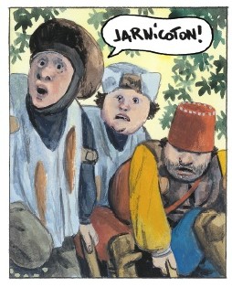 Jarnicoton.jpg
