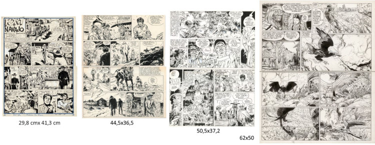 Taille comparée planches Blueberry80%.jpg