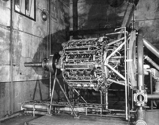 xr7tscell.JPG