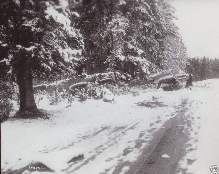 forestnearSchongau.jpg