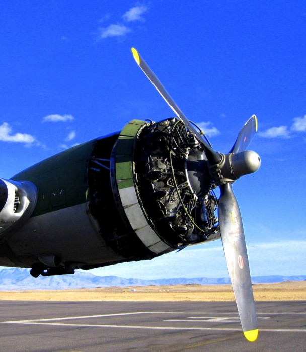 Etourneau B_17G__3_by_EyeMeMyself.jpg