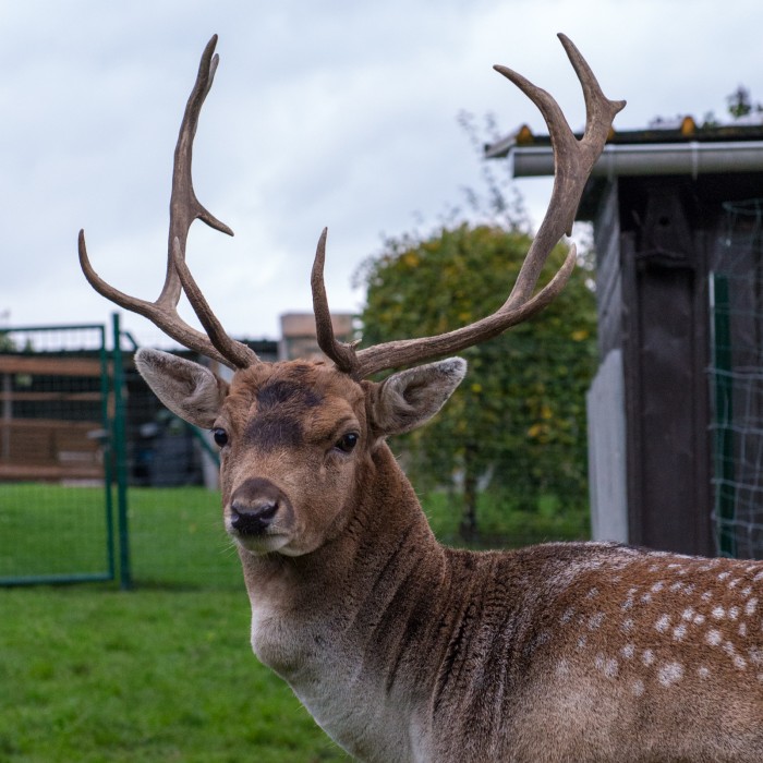 2013-10-19_19h13m36s-2.jpg