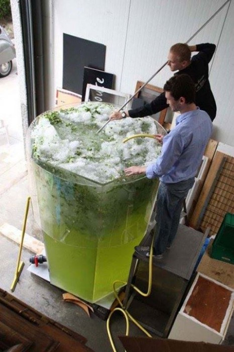 mojito.jpg