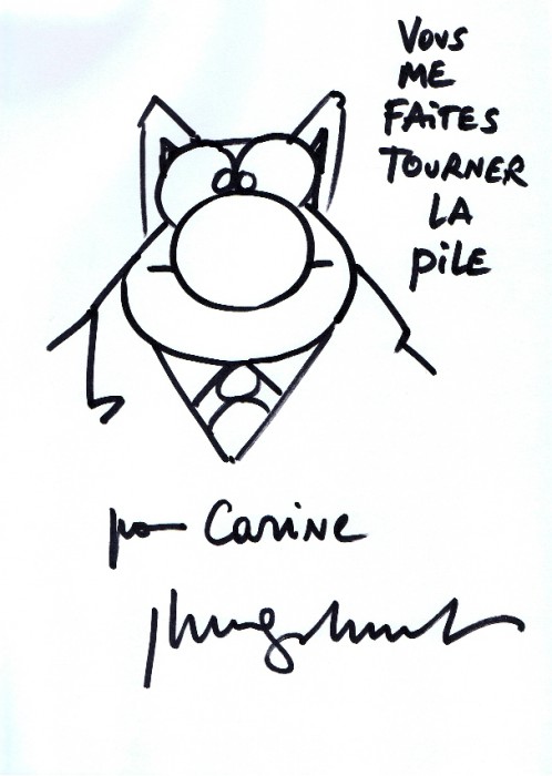 chat (le top du).jpg