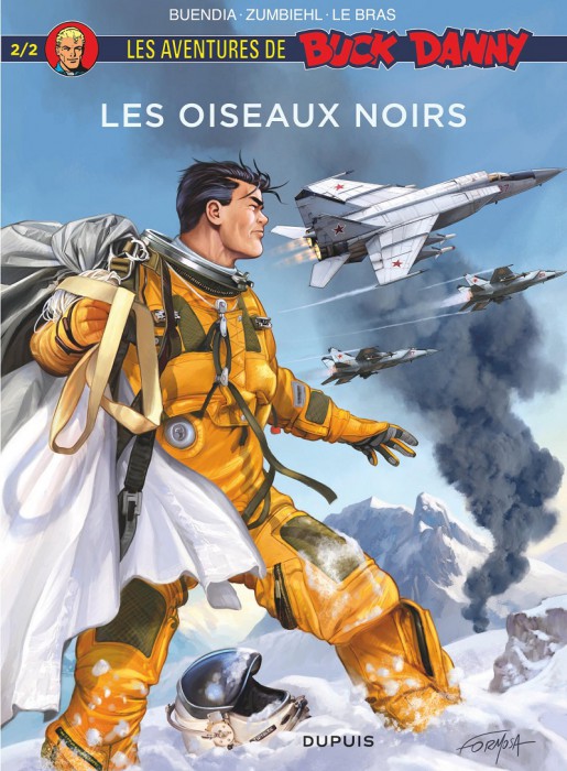Oiseaux_noirs_2.jpg