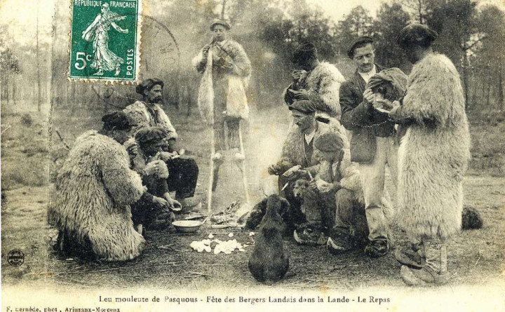 landes.jpg
