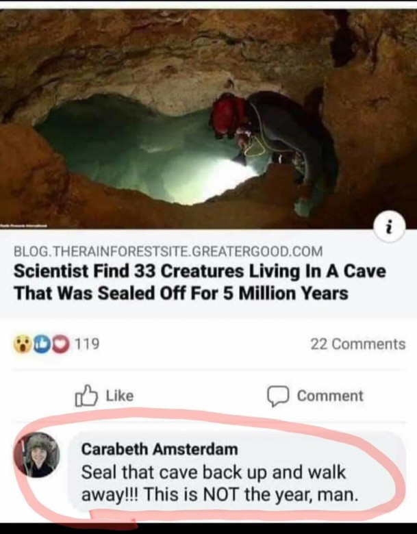 101831272_2629354550502489_818535743445008384_n.jpg