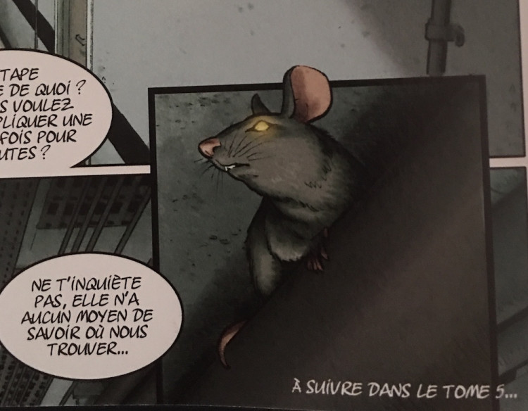 case tome 5.JPG