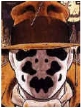 Avatar de l’utilisateur